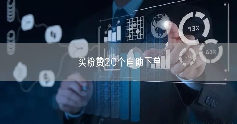 买粉赞20个自助下单