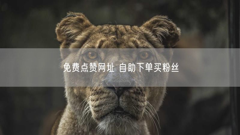 免费点赞网址 自助下单买粉丝