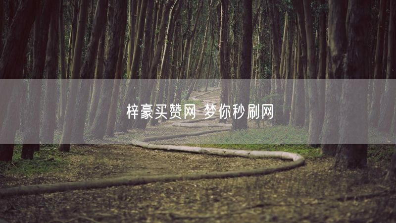 梓豪买赞网 梦你秒刷网