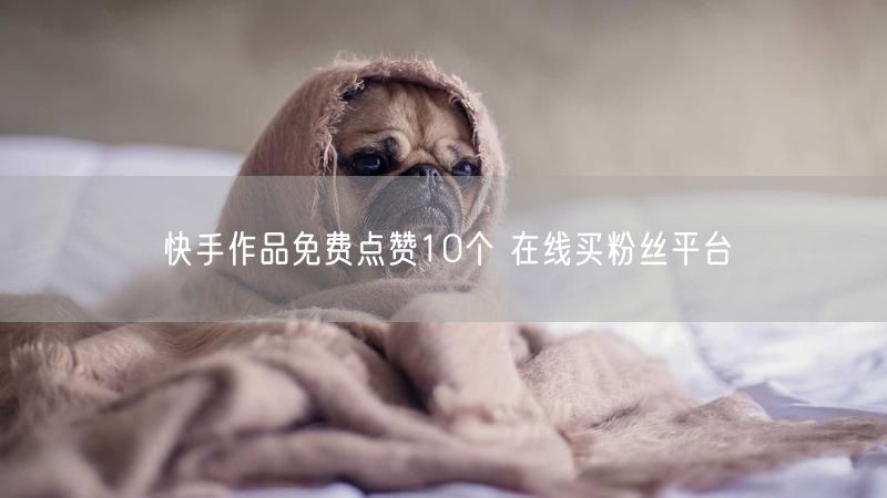 快手作品免费点赞10个 在线买粉丝平台