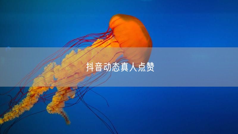抖音动态真人点赞