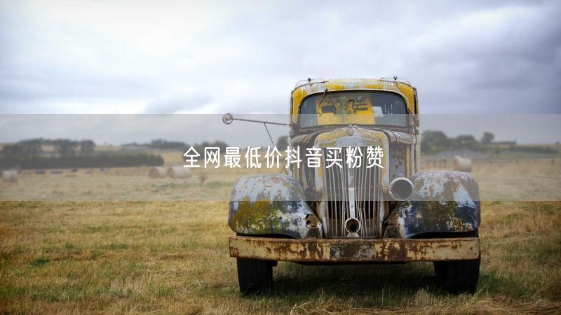 全网最低价抖音买粉赞