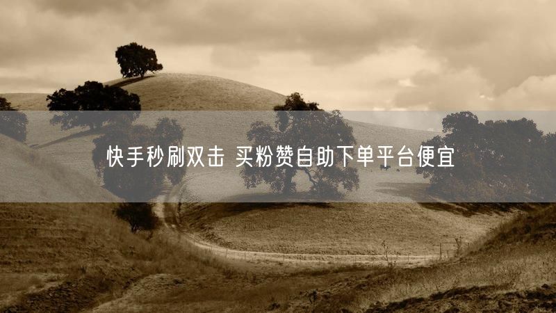 快手秒刷双击 买粉赞自助下单平台便宜