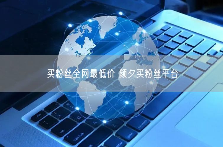 买粉丝全网最低价 颜夕买粉丝平台