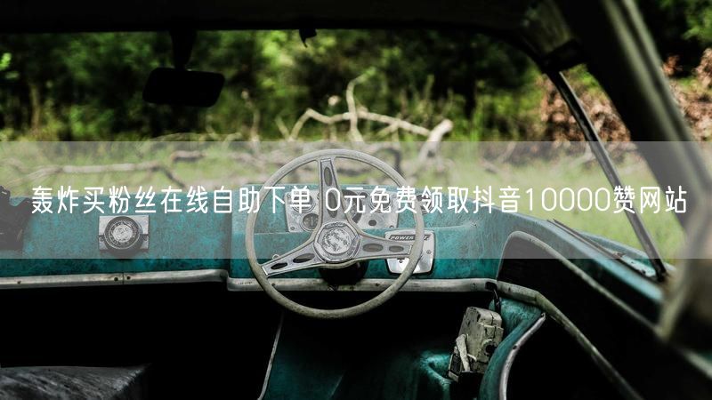 轰炸买粉丝在线自助下单 0元免费领取抖音10000赞网站