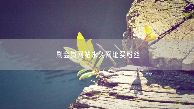 刷会员网站永久网址买粉丝