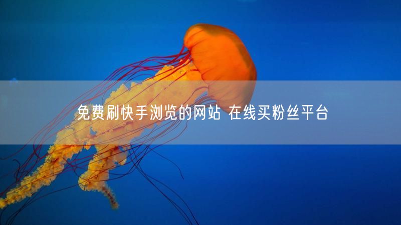 免费刷快手浏览的网站 在线买粉丝平台