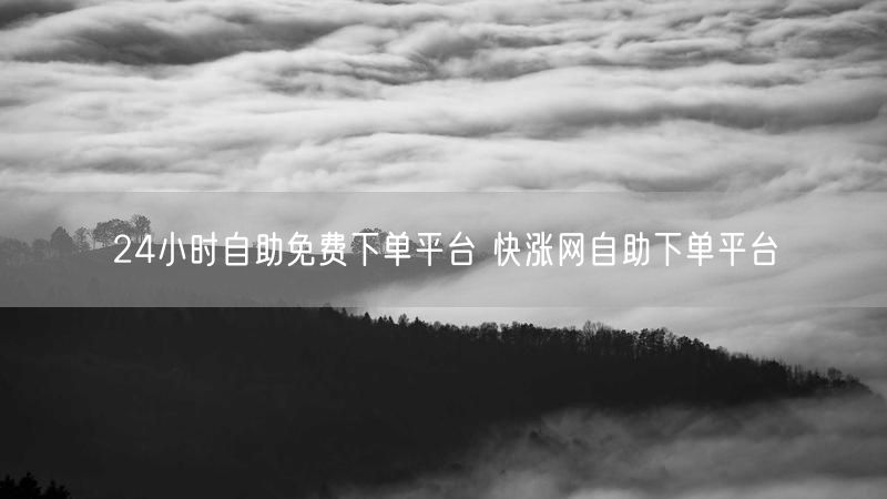 24小时自助免费下单平台 快涨网自助下单平台