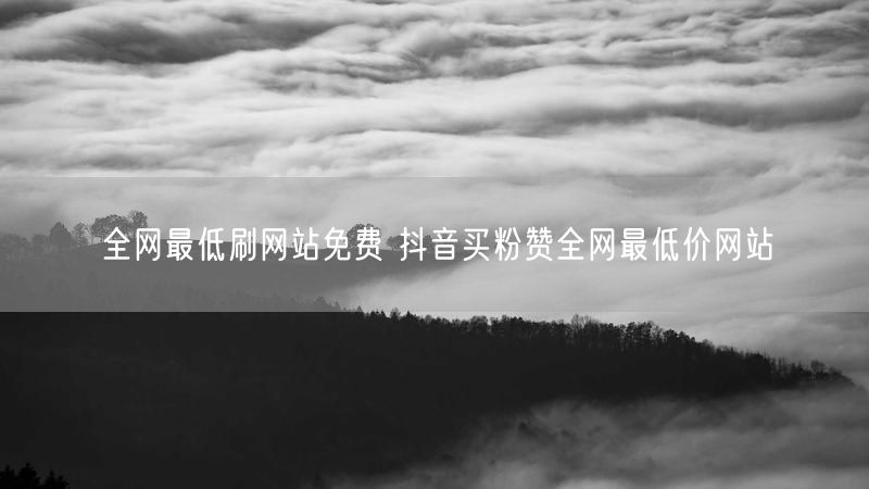 全网最低刷网站免费 抖音买粉赞全网最低价网站