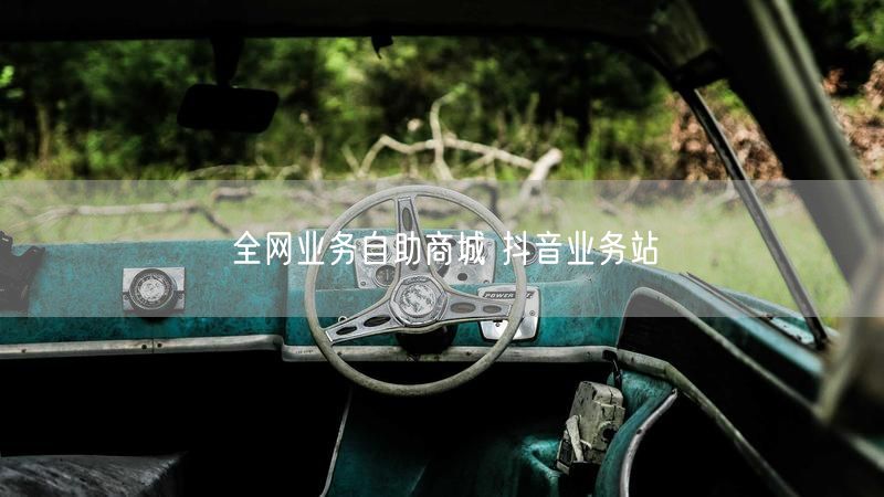 全网业务自助商城 抖音业务站