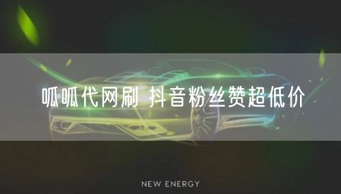 呱呱代网刷 抖音粉丝赞超低价