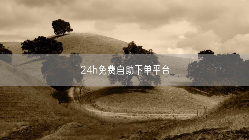 24h免费自助下单平台
