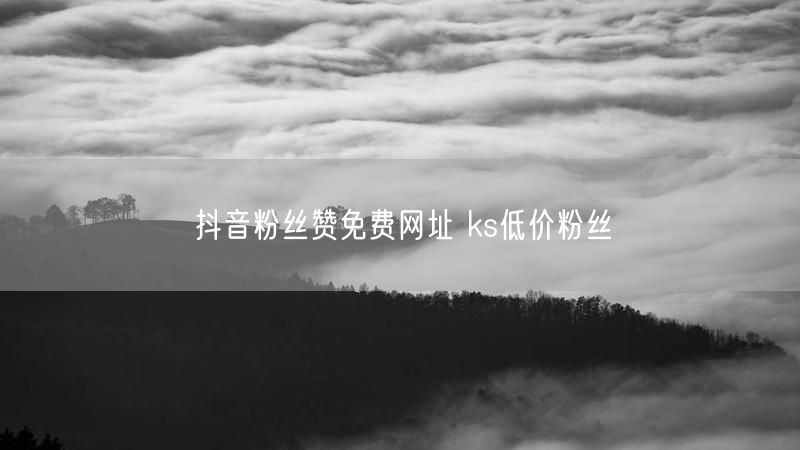 抖音粉丝赞免费网址 ks低价粉丝