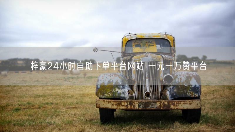 梓豪24小时自助下单平台网站 一元一万赞平台