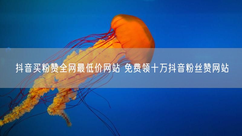 抖音买粉赞全网最低价网站 免费领十万抖音粉丝赞网站
