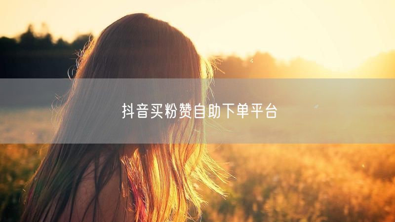 抖音买粉赞自助下单平台