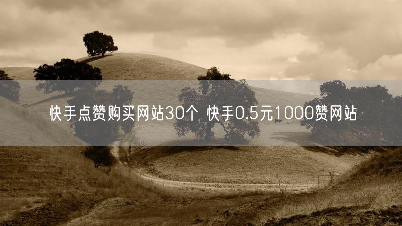 快手点赞购买网站30个 快手0.5元1000赞网站