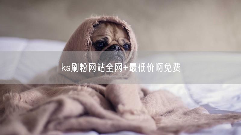 ks刷粉网站全网+最低价啊免费