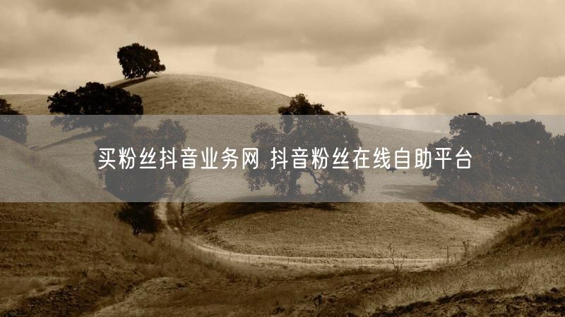 买粉丝抖音业务网 抖音粉丝在线自助平台