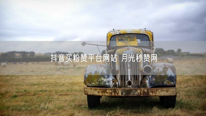 抖音买粉赞平台网站 月光秒赞网