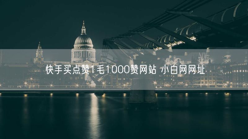 快手买点赞1毛1000赞网站 小白网网址