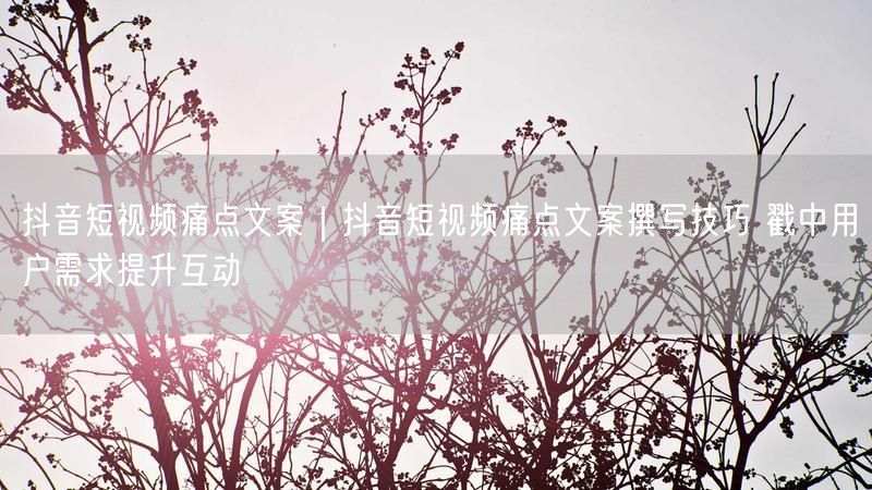 抖音短视频痛点文案|抖音短视频痛点文案撰写技巧 戳中用户需求提升互动