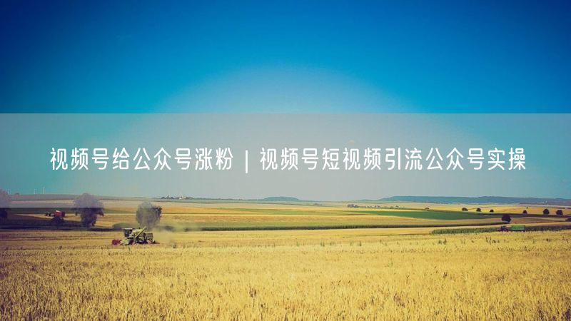视频号涨粉秘籍：短视频引流助力公众号增粉实操