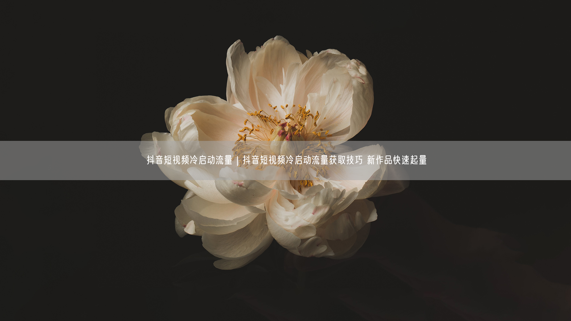 抖音短视频冷启动流量｜抖音短视频冷启动流量获取技巧 新作品快速起量