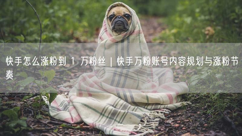 快手怎么涨粉到 1 万粉丝｜快手万粉账号内容规划与涨粉节奏
